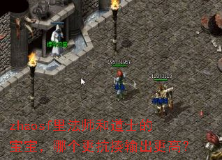 zhaosf里法师和道士的宝宝,哪个更抗揍输出更高? zhaosf里法师和道士的宝宝,哪个更抗揍输出更高?