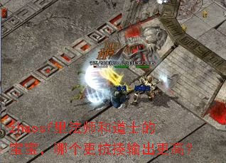 zhaosf里法师和道士的宝宝,哪个更抗揍输出更高? zhaosf里法师和道士的宝宝,哪个更抗揍输出更高?