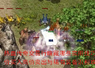 热血传奇交易行暗藏哪些实用技巧?低价买入高价卖出与稀有装备识别攻略 热血传奇交易行暗藏哪些实用技巧?低价买入高价卖出与稀有装备识别攻略