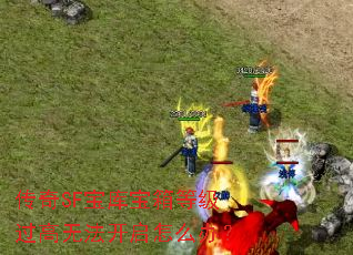 传奇SF宝库宝箱等级过高无法开启怎么办? 传奇SF宝库宝箱等级过高无法开启怎么办?