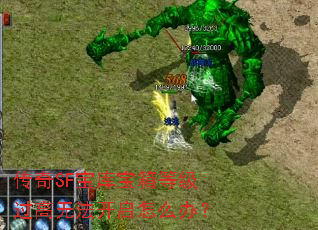 传奇SF宝库宝箱等级过高无法开启怎么办? 传奇SF宝库宝箱等级过高无法开启怎么办?