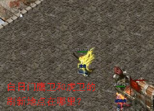 白日门鹰卫和虎卫的刷新地点在哪里? 白日门鹰卫和虎卫的刷新地点在哪里?