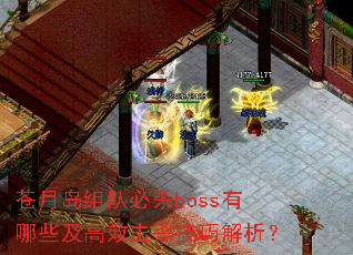 苍月岛组队必杀boss有哪些及高效击杀技巧解析? 苍月岛组队必杀boss有哪些及高效击杀技巧解析?