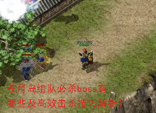 苍月岛组队必杀boss有哪些及高效击杀技巧解析? 苍月岛组队必杀boss有哪些及高效击杀技巧解析?