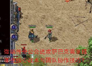 微端传奇公会进攻萨巴克需掌握哪些核心战术与团队协作技巧? 微端传奇公会进攻萨巴克需掌握哪些核心战术与团队协作技巧?