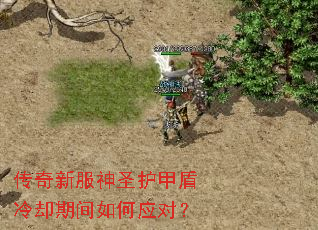 传奇新服神圣护甲盾冷却期间如何应对? 传奇新服神圣护甲盾冷却期间如何应对?