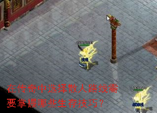 在传奇中选择散人路线需要掌握哪些生存技巧? 在传奇中选择散人路线需要掌握哪些生存技巧?