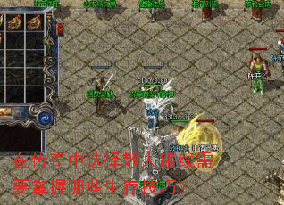 在传奇中选择散人路线需要掌握哪些生存技巧? 在传奇中选择散人路线需要掌握哪些生存技巧?