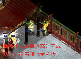 新手小白如何提高升刀成功率?必看技巧全解析 新手小白如何提高升刀成功率?必看技巧全解析