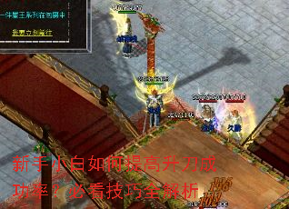 新手小白如何提高升刀成功率?必看技巧全解析 新手小白如何提高升刀成功率?必看技巧全解析
