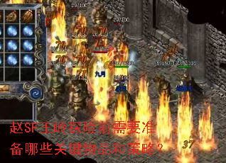 赵SF王岭探险前需要准备哪些关键物品和策略? 赵SF王岭探险前需要准备哪些关键物品和策略?