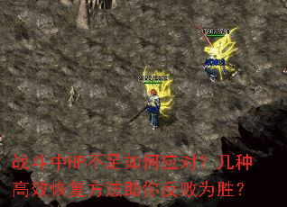 战斗中HP不足如何应对?几种高效恢复方法助你反败为胜? 战斗中HP不足如何应对?几种高效恢复方法助你反败为胜?