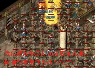 传奇游戏中法师玩家应优先捕捉哪些宝宝作为战斗伙伴? 传奇游戏中法师玩家应优先捕捉哪些宝宝作为战斗伙伴?