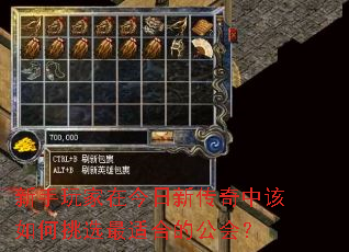 新手玩家在今日新传奇中该如何挑选最适合的公会? 新手玩家在今日新传奇中该如何挑选最适合的公会?