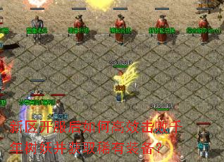 新区开服后如何高效击败千年树妖并获取稀有装备? 新区开服后如何高效击败千年树妖并获取稀有装备?