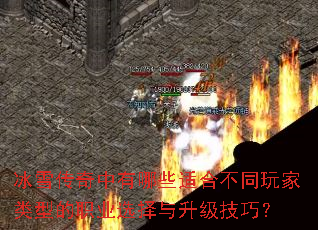 冰雪传奇中有哪些适合不同玩家类型的职业选择与升级技巧? 冰雪传奇中有哪些适合不同玩家类型的职业选择与升级技巧?