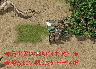 普通世界BOSS如何击败?传奇游戏BOSS挑战技巧全解析 普通世界BOSS如何击败?传奇游戏BOSS挑战技巧全解析