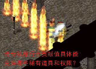 传奇私服行会贡献值具体能兑换哪些稀有道具和权限? 传奇私服行会贡献值具体能兑换哪些稀有道具和权限?