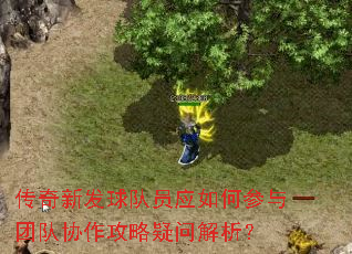 传奇新发球队员应如何参与团队协作攻略疑问解析? 传奇新发球队员应如何参与团队协作攻略疑问解析?