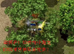 如何在1.80传奇中避免BOSS被其他玩家抢走? 如何在1.80传奇中避免BOSS被其他玩家抢走?