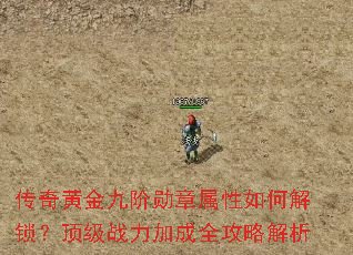 传奇黄金九阶<a href=
