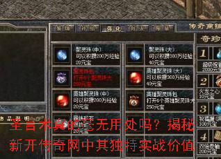 圣言术真的毫无用处吗?揭秘新开传奇网中其独特实战价值 圣言术真的毫无用处吗?揭秘新开传奇网中其独特实战价值