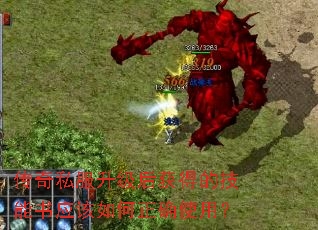 传奇私服升级后获得的技能书应该如何正确使用? 传奇私服升级后获得的技能书应该如何正确使用?