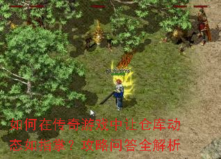 如何在传奇游戏中让仓库动态如指掌?攻略问答全解析 如何在传奇游戏中让仓库动态如指掌?攻略问答全解析