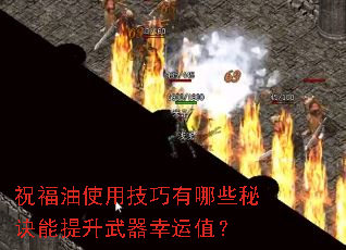 祝福油使用技巧有哪些秘诀能提升武器幸运值? 祝福油使用技巧有哪些秘诀能提升武器幸运值?