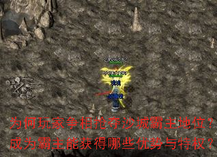 为何玩家争相抢夺沙城霸主地位?成为霸主能获得哪些优势与特权? 为何玩家争相抢夺沙城霸主地位?成为霸主能获得哪些优势与特权?