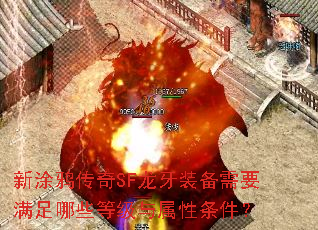 新涂鸦传奇SF龙牙装备需要满足哪些等级与属性条件? 新涂鸦传奇SF龙牙装备需要满足哪些等级与属性条件?