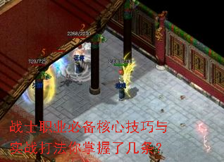 战士职业必备核心技巧与实战打法你掌握了几条? 战士职业必备核心技巧与实战打法你掌握了几条?