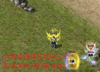 传奇私服团队战中三个职业如何分配最有效? 传奇私服团队战中三个职业如何分配最有效?