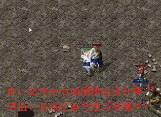 在1.85传奇中如何快速提升声望值?必做任务与技巧有哪些? 在1.85传奇中如何快速提升声望值?必做任务与技巧有哪些?