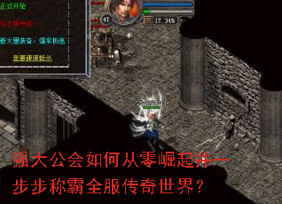 强大公会如何从零崛起并一步步称霸全服传奇世界? 强大公会如何从零崛起并一步步称霸全服传奇世界?