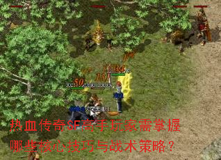 热血传奇SF高手玩家需掌握哪些核心技巧与战术策略? 热血传奇SF高手玩家需掌握哪些核心技巧与战术策略?