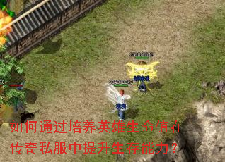 如何通过培养英雄生命值在传奇私服中提升生存能力? 如何通过培养英雄生命值在传奇私服中提升生存能力?