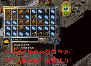 如何通过培养英雄生命值在传奇私服中提升生存能力? 如何通过培养英雄生命值在传奇私服中提升生存能力?