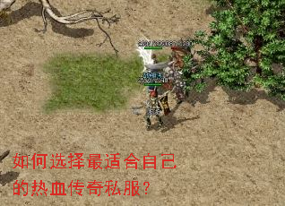 如何选择最适合自己的热血传奇私服? 如何选择最适合自己的热血传奇私服?