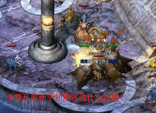 传奇私服新手初期该选什么武器? 传奇私服新手初期该选什么武器?