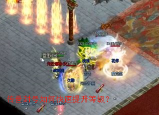 传世封号如何快速提升等级? 传世封号如何快速提升等级?