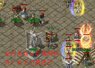 前两天有白野猪照样杀?新手必看技巧 前两天有白野猪照样杀?新手必看技巧