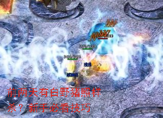 前两天有白野猪照样杀?新手必看技巧 前两天有白野猪照样杀?新手必看技巧