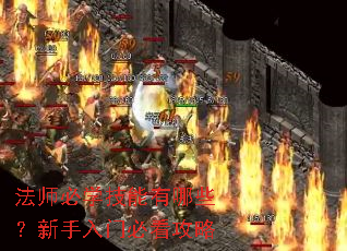法师必学技能有哪些?新手入门必看攻略 法师必学技能有哪些?新手入门必看攻略