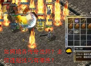 如何培养传奇法师?走位连招技巧有哪些? 如何培养传奇法师?走位连招技巧有哪些?