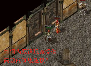 如何为双道玩家提供高效的练级建议? 如何为双道玩家提供高效的练级建议?