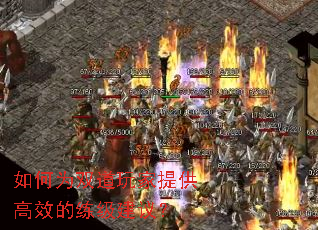 如何为双道玩家提供高效的练级建议? 如何为双道玩家提供高效的练级建议?