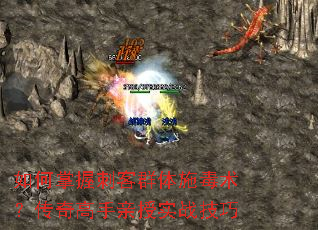 如何掌握刺客群体施毒术?传奇高手亲授实战技巧 如何掌握刺客群体施毒术?传奇高手亲授实战技巧