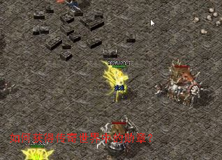 如何获得传奇世界中的勋章? 如何获得传奇世界中的勋章?