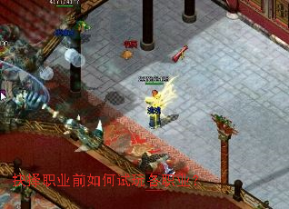 ����ְҵǰ��������ְҵ��